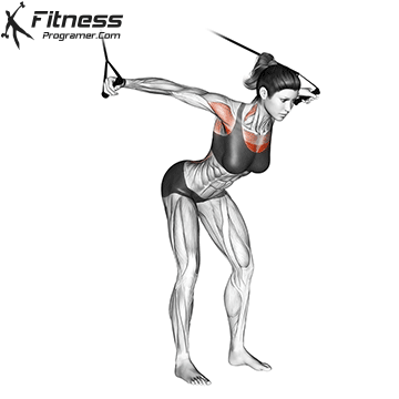 High Chest Fly With Resistance Band