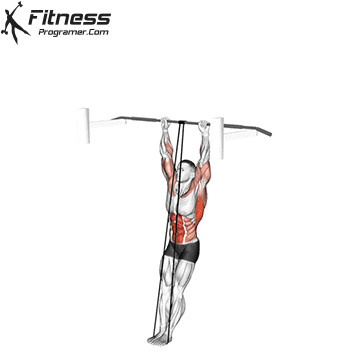 Band-Assisted Muscle-Up
