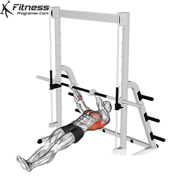 Inverted Row