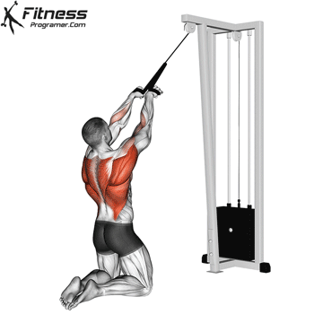 Kneeling High-Pulley Row
