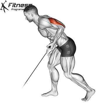 Low Cable Triceps Kickback