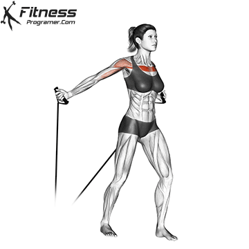 Low Cable Fly