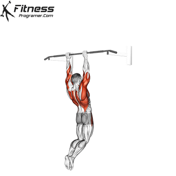 Bar Muscle-Up