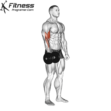 One-Arm Dumbbell Biceps Curl