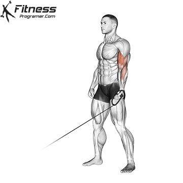 One-Arm Cable Biceps Curl