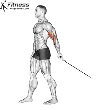 One-Arm Cable Curl