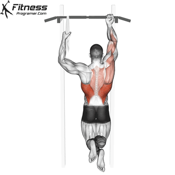 One-Arm Chin-Up