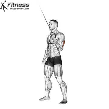 One-Arm Reverse Push Down