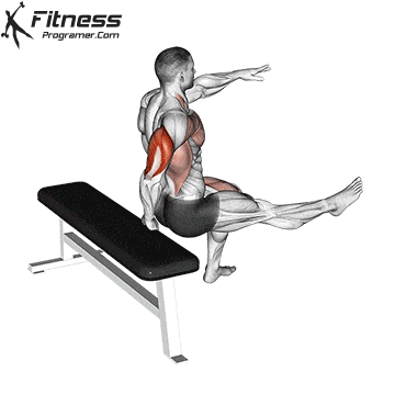One-Arm Single-Leg Bench Dip