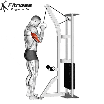 One-Arm Triceps Pushdown