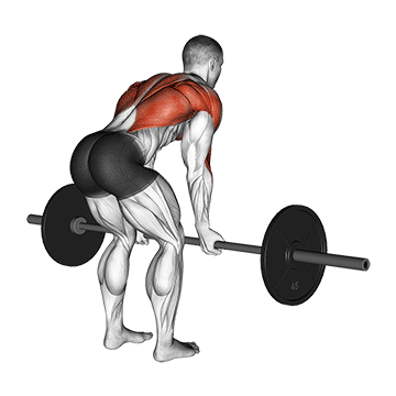 Reverse-Grip Barbell Row