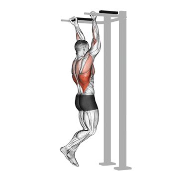 Reverse-Grip Pull-Up