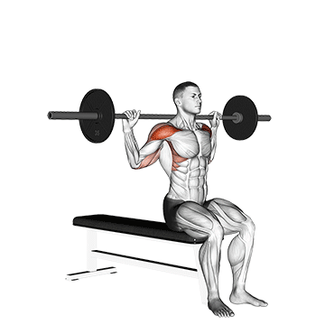 Seated Behind-the-Neck Press
