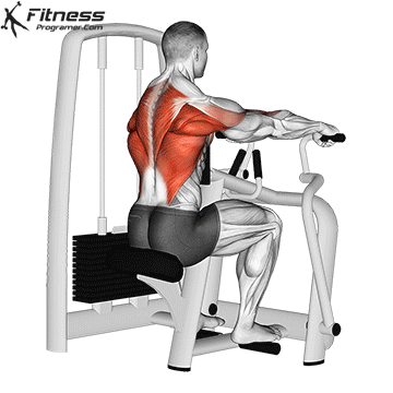 Seated Row Machine