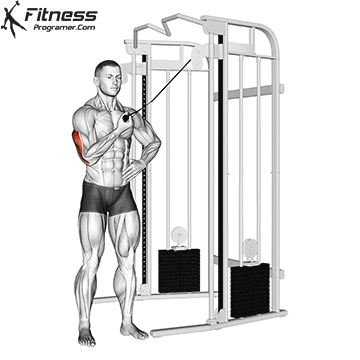 Side One-Arm Reverse Pushdown
