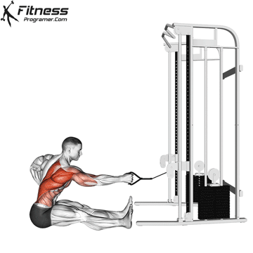 Single-Arm Twisting Seated Cable Row