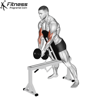 Single-Dumbbell Spider Hammer Curl