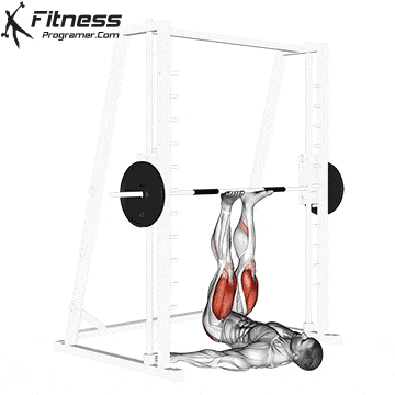 Smith Machine Leg Press