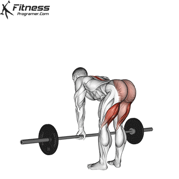 Stiff-Leg Deadlift