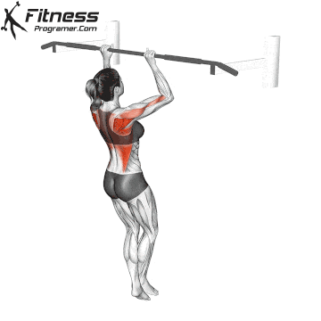 Top Half Pull-Up
