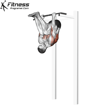 Upside Down Pull-Up