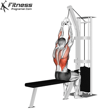 V-Bar Lat Pulldown
