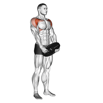 Weight Plate Front Raise