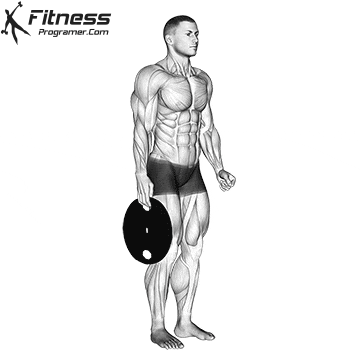 Weight Plate Hand Squeeze