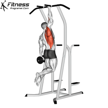 Weighted One-Arm Pull-Up
