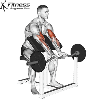 EZ-Bar Preacher Curl