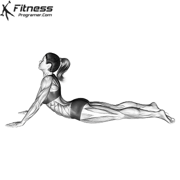 Abdominal Stretch