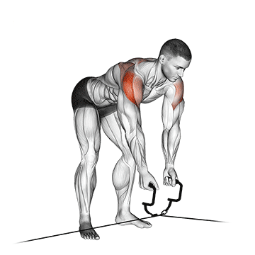 Bent-Over Reverse Cable Fly
