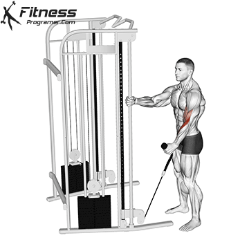 Cable Single-Arm Hammer Curl