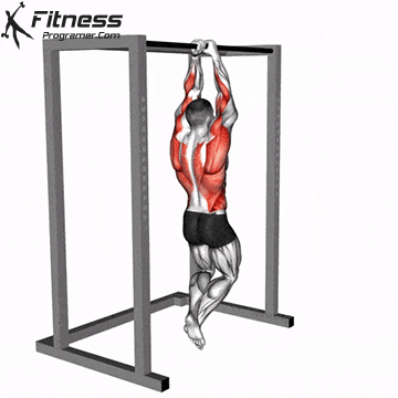 Commando Pull-Up