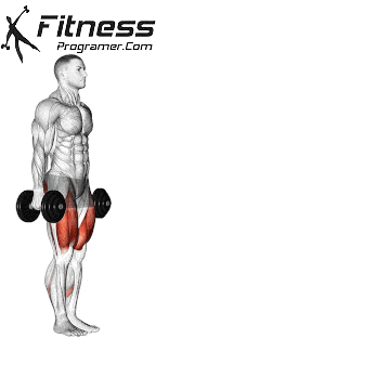 Dumbbell Lunge