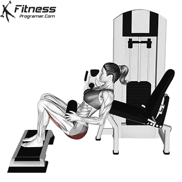 Hip Thrust on the Leg Extension Machine