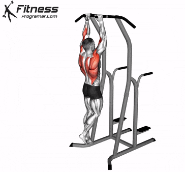 Neutral-Grip Pull-Up