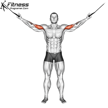 Overhead Cable Curl