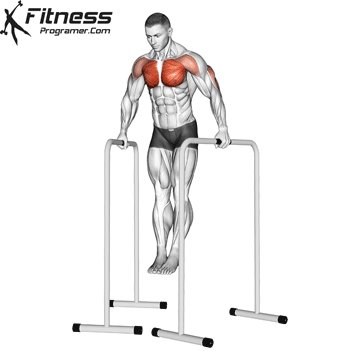 Parallel-Bar Dip