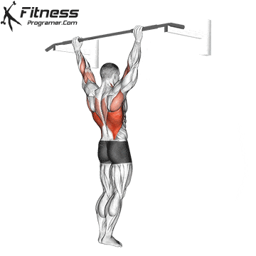 Pull-Up
