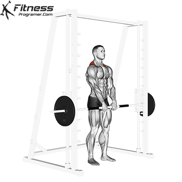 Smith Machine Shrug